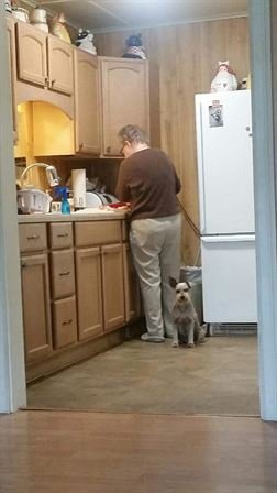 Billie Jean Morris - Photo 19