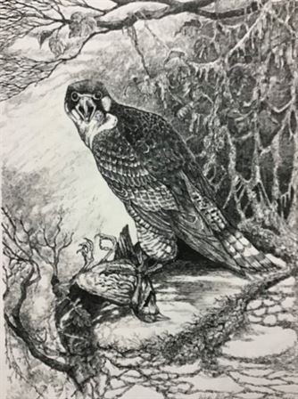 Vicki Lynn Brown — photo 42