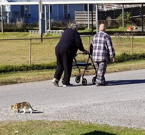 Norman G. "Tock" Guillot - Photo 138