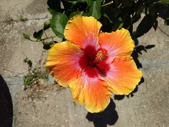 Vera Mae Perry - Photo 69