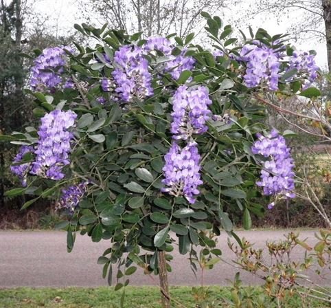 Vera Mae Perry - Photo 139