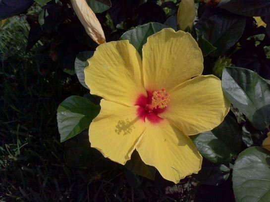 Vera Mae Perry - Photo 169