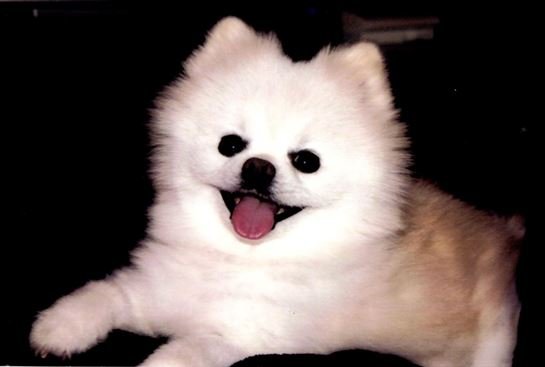 Joseph "Boo" Darrell Richard - Photo 6