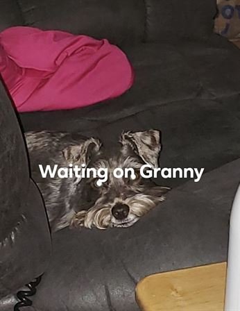 Maxine M. Morgan - Photo 19