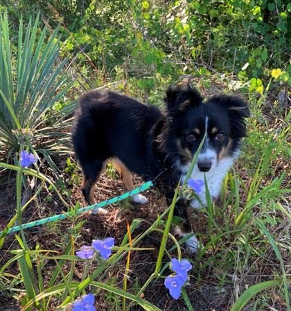 Maxine M. Morgan - Photo 51