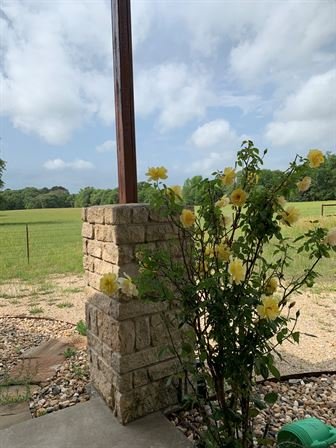 Maxine M. Morgan - Photo 59