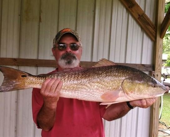 James Allen Oliver - Photo 2