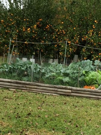 Billie Jean Sterns Downey - Photo 75