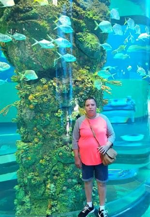 Concepcion Nunez (Cisneros) - Photo 14