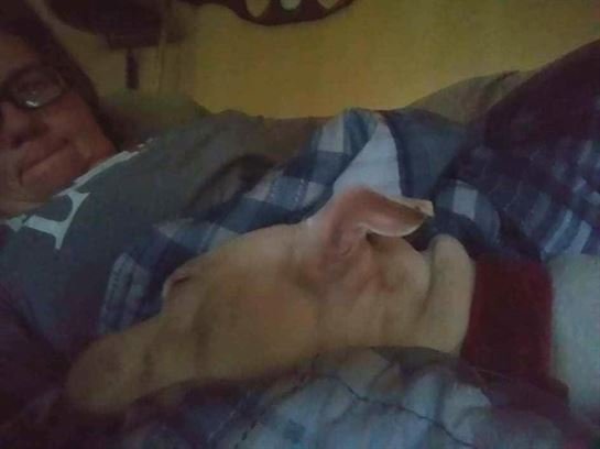 Elizabeth "Sissy" Harvey - Photo 2