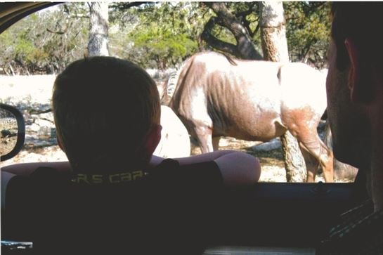 Robert "Rob" Gerald Folsom — photo 42