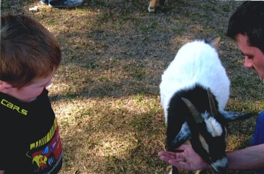 Robert "Rob" Gerald Folsom - Photo 44