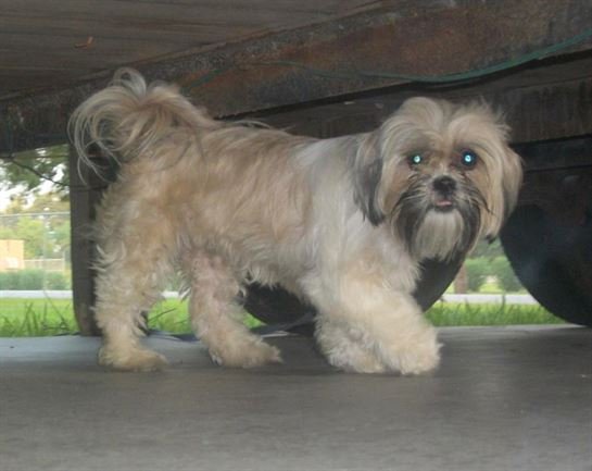 Tammie Marie Hollis Zerko - Photo 11