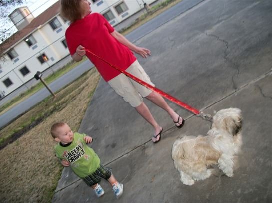 Tammie Marie Hollis Zerko - Photo 42