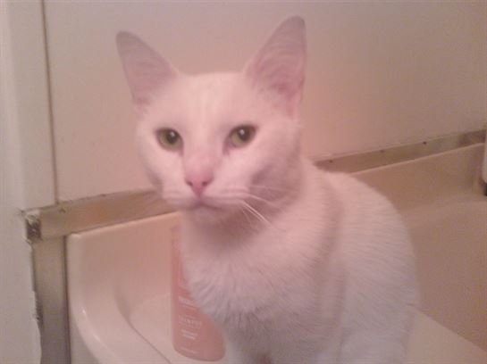 Tammie Marie Hollis Zerko - Photo 89