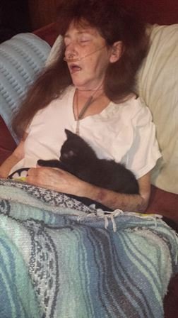 Tammie Marie Hollis Zerko - Photo 100