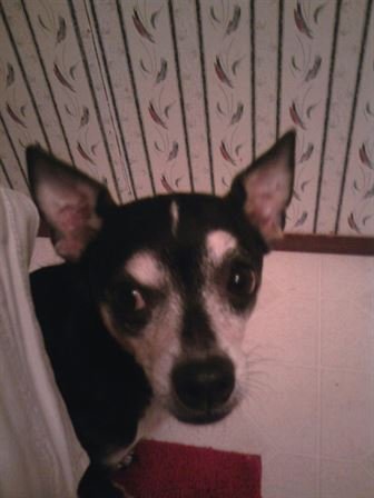 Tammie Marie Hollis Zerko - Photo 120