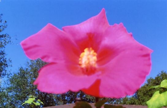 Faye McGee - Photo 32