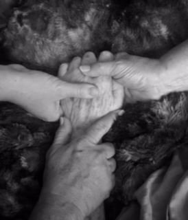 Faye McGee - Photo 61