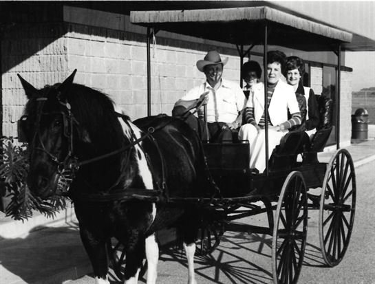 Beth Bagley Shepherd - Photo 47