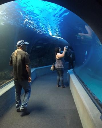 Michael "Mike" Richard Quigley - Photo 81