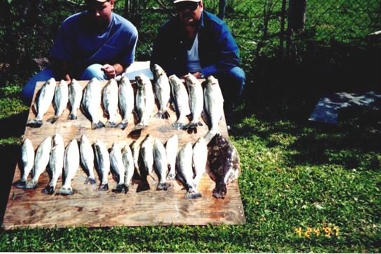 Mark Dale Lonion - Photo 18