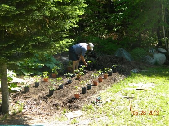 Ralph Thon - Photo 17