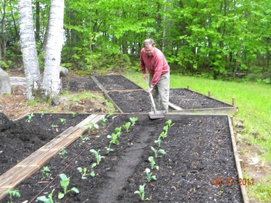 Ralph Thon - Photo 62