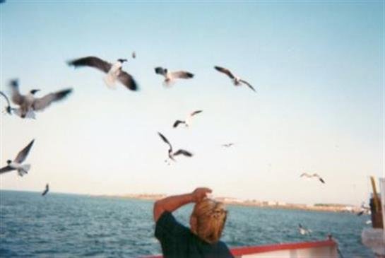 Trisha-Lee "Sharp" Dollery - Photo 39