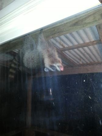 Trisha-Lee "Sharp" Dollery - Photo 41