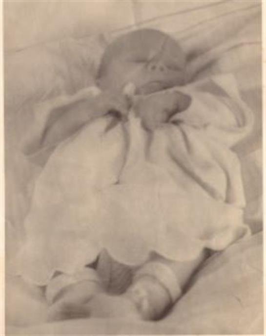 Trisha-Lee "Sharp" Dollery - Photo 48