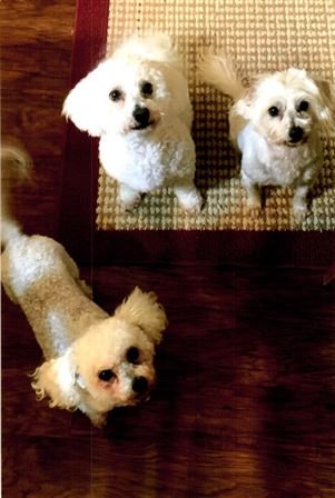 Mary Elizabeth Bolner - Photo 51