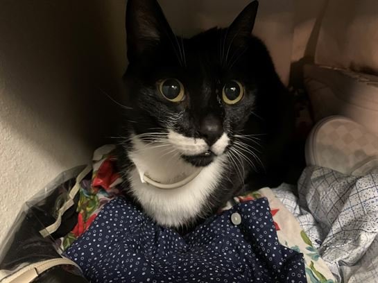 James "Jim" Norton Turpin - Photo 12