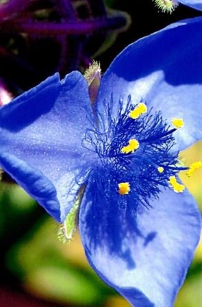 James "Jim" Norton Turpin — photo 16