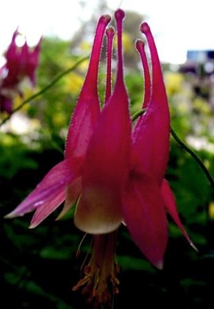 James "Jim" Norton Turpin — photo 26