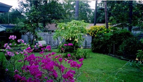 James "Jim" Norton Turpin - Photo 83