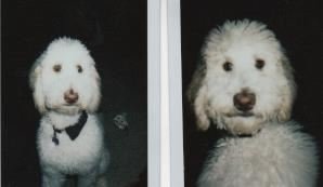 Tiffany Lee Handley - Photo 47