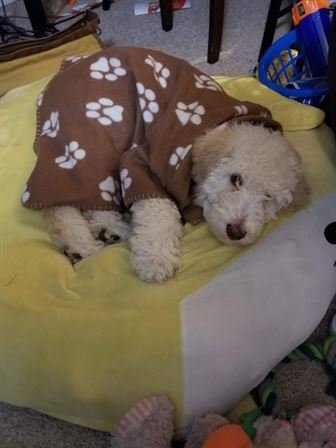 Tiffany Lee Handley - Photo 48