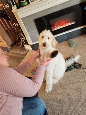 Tiffany Lee Handley - Photo 50