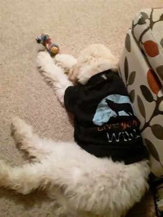 Tiffany Lee Handley - Photo 55