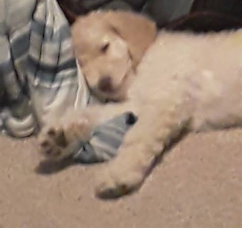 Tiffany Lee Handley - Photo 76