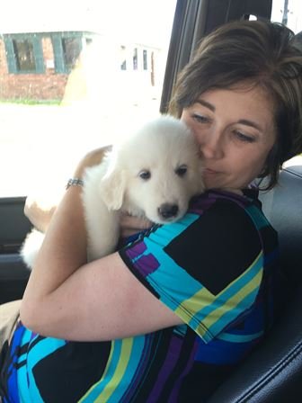 Melissa Annette Chapman — photo 121