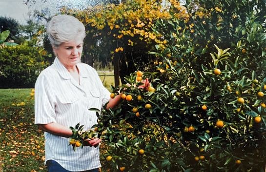 Mazel B. Cook - Photo 29