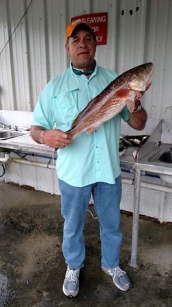 Jody Louis Lemoine - Photo 172