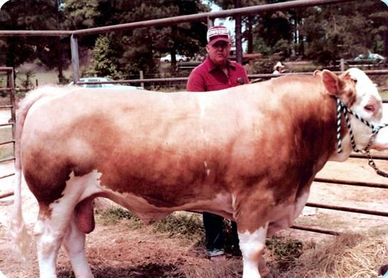 Bruce Allen Birdwell - Photo 39