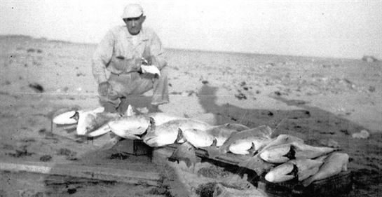 Lavinia Weber Brown - Photo 98