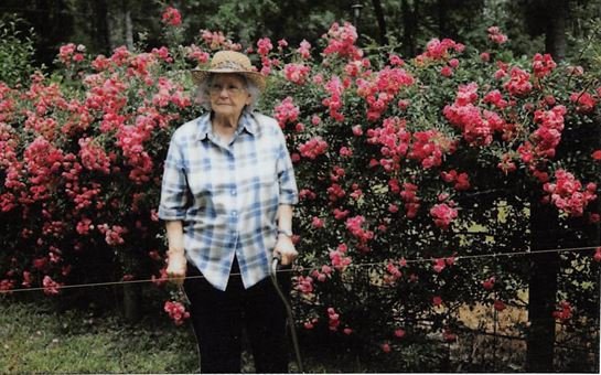 Dora Mae Teal - Photo 15