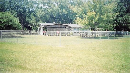 Dora Mae Teal - Photo 16