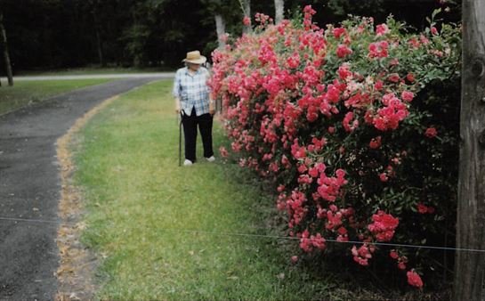 Dora Mae Teal - Photo 28