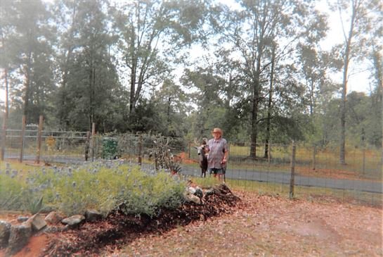 Dora Mae Teal - Photo 32